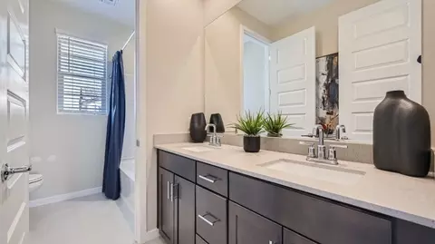 Bath - 10163 E Ulysses Ave, Mesa, AZ 85212 photo 3 of 4