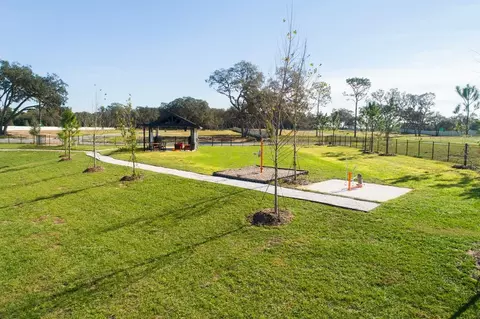 View/Area - 3325 Forest Packs Loop, Apopka, FL 32712 photo 5 of 21