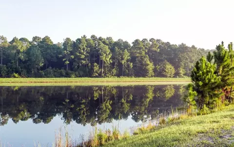 View/Area - 730 Farmfield Dr, Saint Augustine, FL 32092 photo 7 of 13