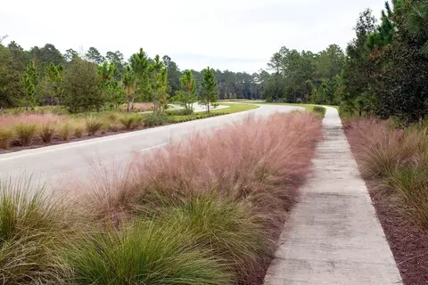 View/Area - 730 Farmfield Dr, Saint Augustine, FL 32092 photo 11 of 13