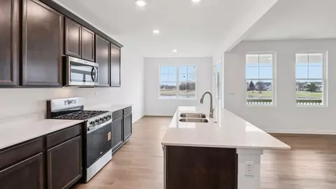 Kitchen - 1226 Tiger Lily Dr, Bartlett, IL 60103 photo 1 of 9