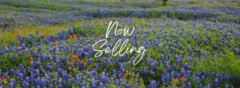 3612 Muller Oak Pass, Seguin, TX 78155