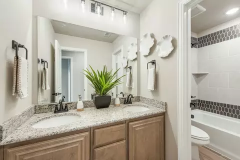 Bath - 301 River Meadows Ln, Argyle, TX 76226 photo 3 of 5