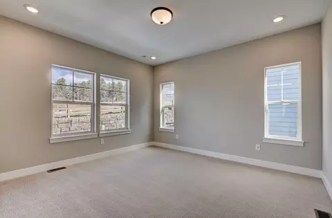 Bedroom - 16408 Monument Rock Ct, Monument, CO 80132 photo 14 of 22