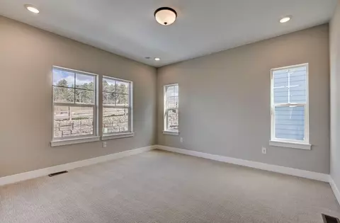 Bedroom - 16408 Monument Rock Ct, Monument, CO 80132 photo 3 of 22