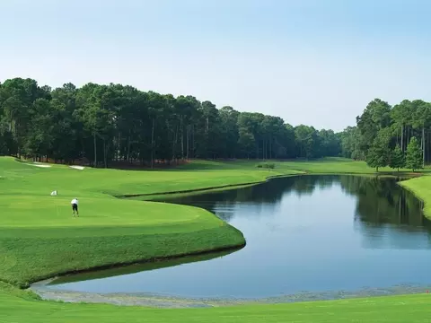 View/Area - 1139 Milford Way, Myrtle Beach, SC 29588 photo 3 of 4