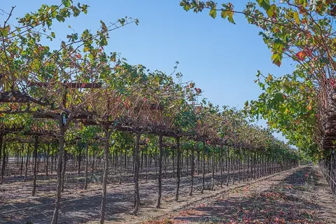Other - 503 E Carissa Way, Madera, CA 93638 photo 6 of 7