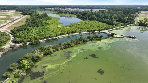 View/Area - 314 Sweetspire St, Moncks Corner, SC 29461 photo 7 of 20