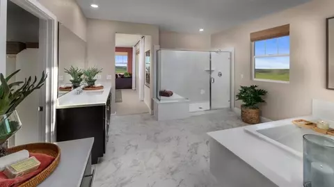 Bath - 7958 Floyd Glenn Wise Dr, Tracy, CA 95377 photo 1 of 4