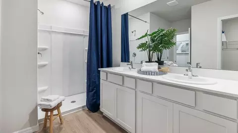 Bath - 17325 Whiskey Creek Trl, Parrish, FL 34219 photo 3 of 3