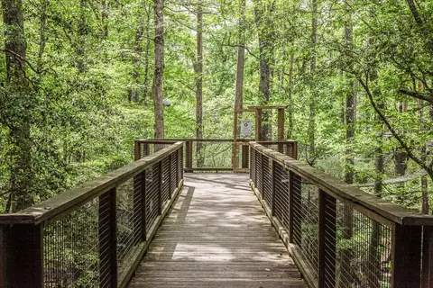 Other - 3820 Alligator Rd, Florence, SC 29501 photo 10 of 15