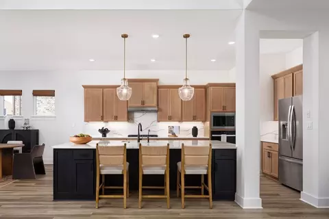 Kitchen - 208 Shady Spring Trl, Georgetown, TX 78628 photo 6 of 6