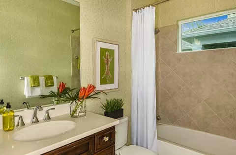 Bath - 10025 Hammock Brook Dr, Parrish, FL 34219 photo 3 of 4