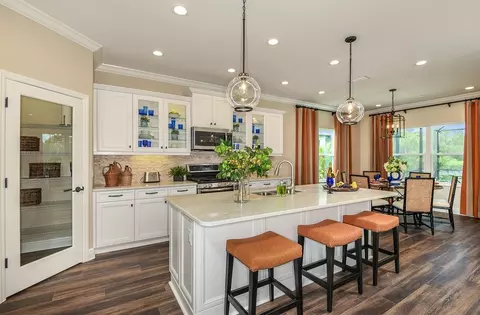 Kitchen - 10025 Hammock Brook Dr, Parrish, FL 34219 photo 1 of 4