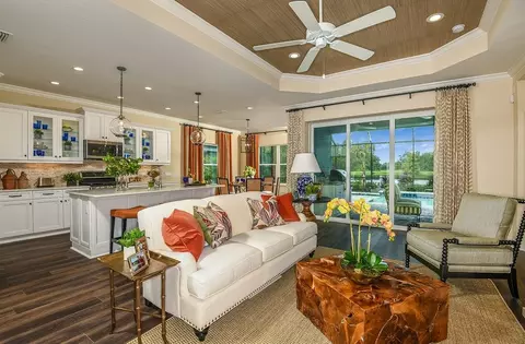 Living - 10025 Hammock Brook Dr, Parrish, FL 34219 photo 1 of 5