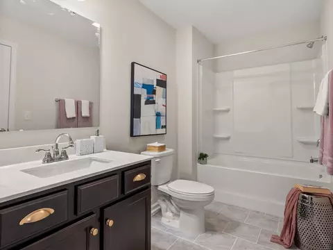 Bath - 21216 Sanctuary Dr, Lancaster, SC 29720 photo 3 of 4