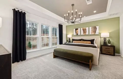 Bedroom - 1005 Titian Ave, Wake Forest, NC 27587 photo 6 of 7