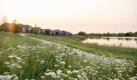 View/Area - 5566 Tamarack Ave, Longmont, CO 80504 photo 5 of 15