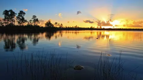 View/Area - 219 Meredith Blvd, Winter Haven, FL 33881 photo 1 of 15