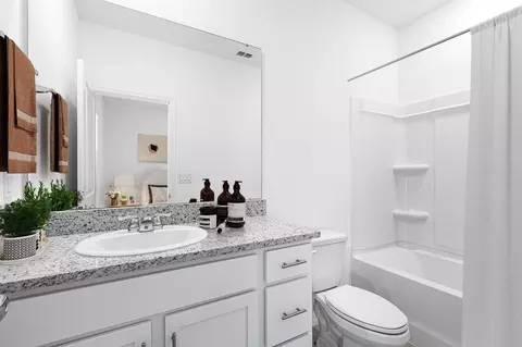 Bath - 703 Perth Dr, Mount Dora, FL 32757 photo 4 of 12