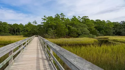 Other - 863 Old Pine Dr, Longs, SC 29568 photo 5 of 7