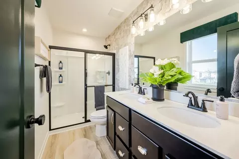 Bath - 102 Cherry Glen Way, Euharlee, GA 30145 photo 1 of 2