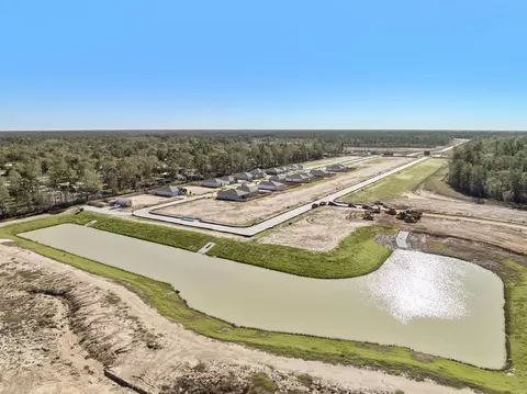 View/Area - 10827 Red Flagstone Dr, Conroe, TX 77306 photo 2 of 7