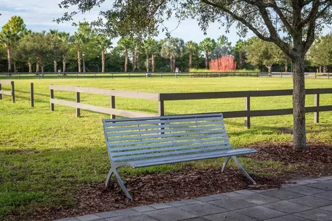 View/Area - 5366 Wolf Creek Dr, Ruskin, FL 33570 photo 5 of 25