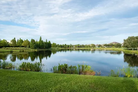 View/Area - 5366 Wolf Creek Dr, Ruskin, FL 33570 photo 6 of 25