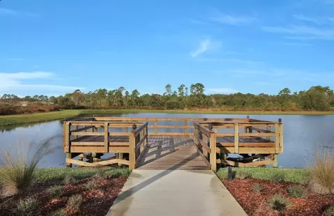 View/Area - 205 Cedar Preserve Ln, Saint Augustine, FL 32095 photo 5 of 5