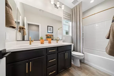 Bath - 10166 W Mitchell Ave, Avondale, AZ 85392 photo 2 of 6