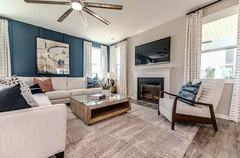 Living - 1012 Prominence Dr, Durham, NC 27712 photo 5 of 9