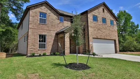 Exterior - 10606 Flight Deck Ct, Conroe, TX 77303 photo 7 of 10