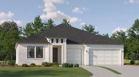 18036 Enduring Spirit Dr, Land O Lakes, FL 34638