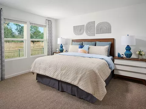 Bedroom - 13727 Richland Gulf Cir, Parrish, FL 34219 photo 3 of 4