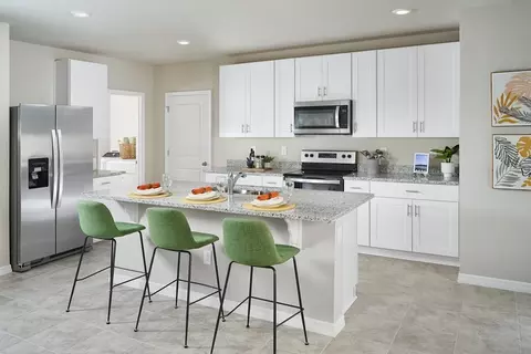 Kitchen - 13727 Richland Gulf Cir, Parrish, FL 34219 photo 3 of 3