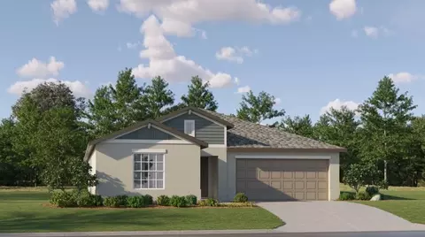 10091 Painted Blossom Pl, Dade City, FL 33525