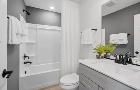 Bath - 1715 Pratt Ct, Hoffman Estates, IL 60192 photo 3 of 6