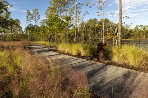 View/Area - 586 Windchime St, Yulee, FL 32097 photo 3 of 5