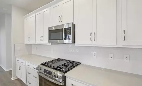 Kitchen - 10049 Hidden Hammock Loop, Parrish, FL 34219 photo 3 of 3
