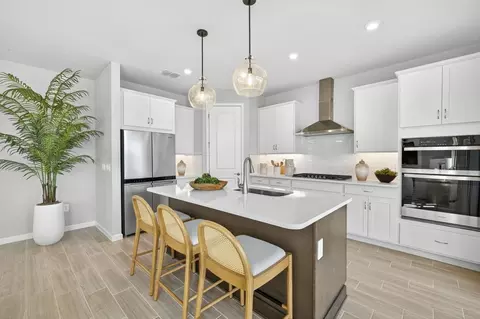 1873 Merigold Sun Pl, Naples, FL 34114