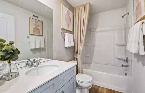 Bath - 2049 Palmer Ct, Hoffman Estates, IL 60169 photo 3 of 3