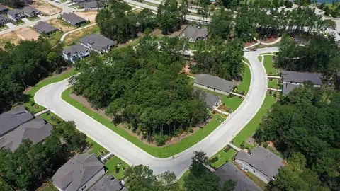 View/Area - 15320 Le Reve Ln, Conroe, TX 77302 photo 9 of 9