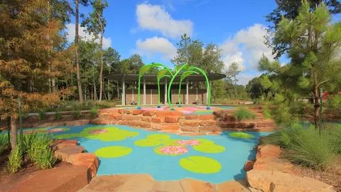 View/Area - 15320 Le Reve Ln, Conroe, TX 77302 photo 4 of 9