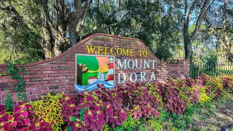 Other - 32477 Sea Loch Loop, Mount Dora, FL 32757 photo 7 of 21