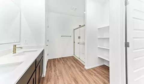 Bath - 12247 E Rose Frances Dr, Vail, AZ 85641 photo 3 of 8