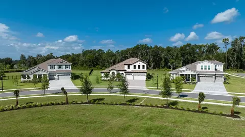 View/Area - 10517 Meadowrun Dr, Lithia, FL 33547 photo 1 of 2