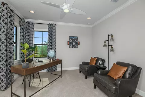 Other - 10517 Meadowrun Dr, Lithia, FL 33547 photo 7 of 9
