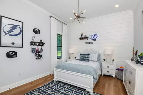 Bedroom - 10517 Meadowrun Dr, Lithia, FL 33547 photo 2 of 3