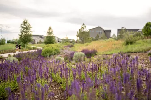 View/Area - 5841 Aspenglow St, Longmont, CO 80504 photo 5 of 10
